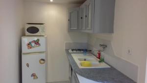 a small kitchen with a white refrigerator and a sink at palayson two in Le Muy