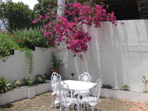 Zahrada ubytování Malvern Manor Country Guest House