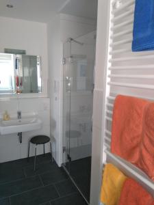 a bathroom with a shower and a sink at Ferienwohnungen Lippold in Bad Salzuflen