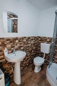uma casa de banho com um lavatório, um WC e um espelho. em Paradisul Verde em Bretea