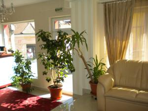 クルジュ・ナポカにあるホテル アリーのリビングルーム(ソファ、鉢植えの植物付)