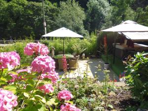 a garden with pink flowers and tables and umbrellas at The Cables in Matlock