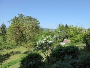 uitzicht op een veld met bomen en struiken bij Ferienwohnung Dora 2 in Michelstadt