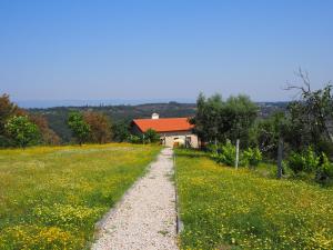 a dirt road leading to a house in a field at Quinta Vale Porcacho in Tábua