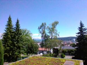 Příroda nedaleko apartmánu