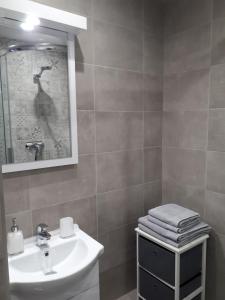 a bathroom with a sink and a bird picture on the wall at Aliz Apartman in Miskolc