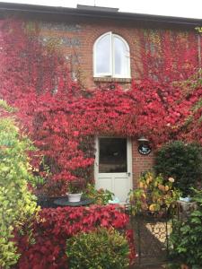 a house covered in red ivy with a white door at The Dovecote, Stoke Farthing Courtyard in Broad Chalke
