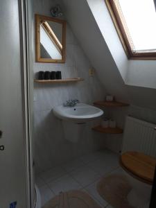 Penzion Tina في Pernink: حمام مع حوض ومرحاض