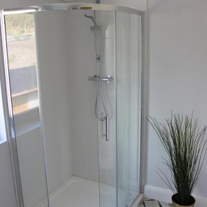 a shower with a glass door next to a plant at Lakeside Studio 2 Loft Apartment in Enniskillen