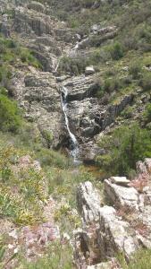 Billede fra billedgalleriet på B&B LE ISOLE i San Teodoro + 50 billeder