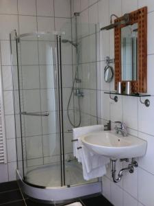 a bathroom with a shower and a sink at Raffelberger Hof in Mülheim an der Ruhr