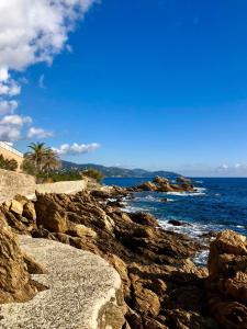 una playa rocosa con vistas al océano en Appartement Bord de Mer La Faviere en Bormes-les-Mimosas