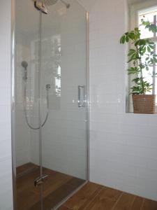 a shower with a glass door in a bathroom at Olivia House in Abertamy