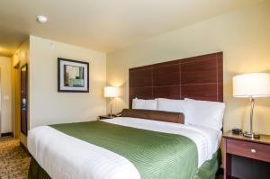 Habitación de hotel con 1 cama grande y 2 lámparas en Cobblestone Inn & Suites - Oberlin, en Oberlin