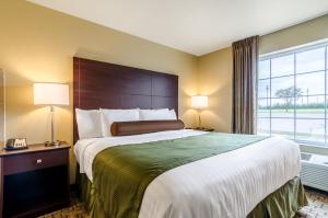 Habitación de hotel con cama grande y ventana en Cobblestone Inn & Suites - Oberlin, en Oberlin