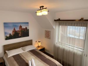 een slaapkamer met een bed en een raam bij Casuta de pe dealul Seciu in Boldeşti-Scăeni