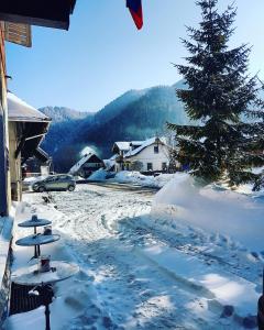 Příroda nedaleko bed and breakfast + 26 fotografií