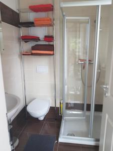 een badkamer met een douche, een toilet en een wastafel bij Ferienwohnungen am Krossinsee in Berlijn