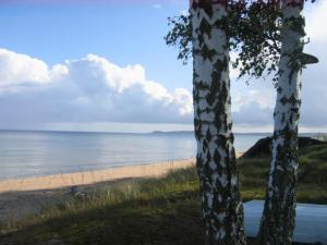 dwa drzewa stojące obok plaży z oceanem w obiekcie Strandstugan w mieście Degeberga