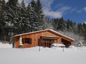 Chalet au bord du lac de Longemer v zimě
