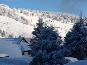 Happy Big Family en invierno