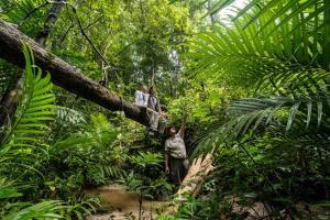 a group of people walking in the jungle at Four Seasons Resort Langkawi in Tanjung Rhu