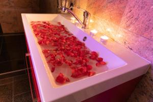 Φωτογραφία από το άλμπουμ του Romantický wellness suite hotel Heinz σε Dobris