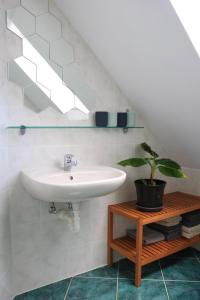 ein Badezimmer mit einem Waschbecken und einer Topfpflanze in der Unterkunft "Ferienwohnung Am Tharandter Wald" in Grund