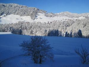Apart Greber talvel