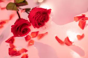 Φωτογραφία από το άλμπουμ του Romantický wellness suite hotel Heinz σε Dobris