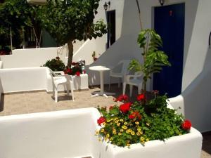 Vonkajšia záhrada v ubytovaní Oasis Apartments