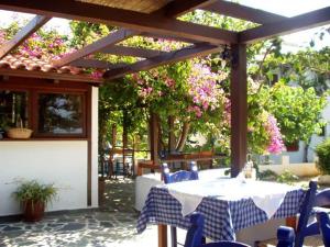 Vonkajšia záhrada v ubytovaní Oasis Apartments