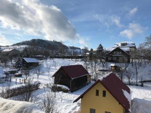 Hovězí的住宿－Ubytování U Valašských ponožek，一座有房子和建筑物的雪覆盖的村庄