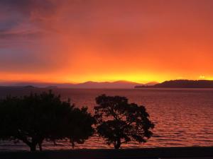 un coucher de soleil sur l'eau avec deux arbres au premier plan dans l'établissement Baycourt Lakefront Motel, à Taupo