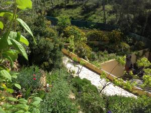 a garden with many different types of plants at Romani,26 in Olivella