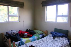 2 camas en una habitación con 2 ventanas en The Wild Farm Backpackers en Wilderness