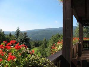 a view from the porch of a cabin with red flowers at Falkenhof classic in Bayerisch Eisenstein