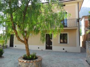 a tree in a pot in front of a building at Casale Del Borgo in San Severino