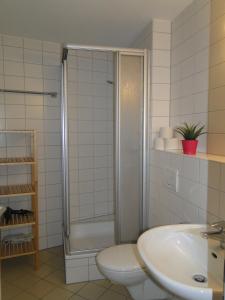 y baño con ducha, aseo y lavamanos. en Business Apartment am Hauptbahnhof en Freiburg im Breisgau