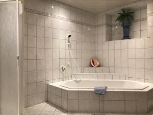 Vannituba majutusasutuses Appartements Rosenstockl