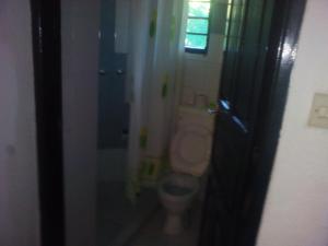 Vannituba majutusasutuses Ashari Hotel