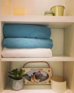Fotografie z fotogalerie ubytování Cute Pug Guest Room v Kodani
