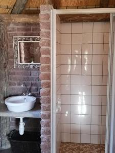 a bathroom with a sink and a mirror at Terra Rouge Guestfarm & Sonstraal Farmhouse in Koës