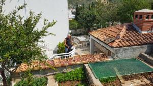 Vonkajšia záhrada v ubytovaní Apartments Pina