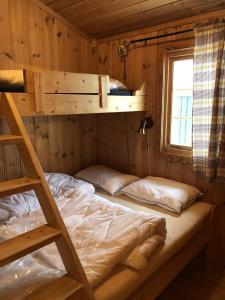 a bedroom with a bunk bed and a ladder at Haglebu Turistheim in Haglebu