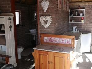 a bathroom with a counter with a sink and a toilet at Terra Rouge Guestfarm in Koës
