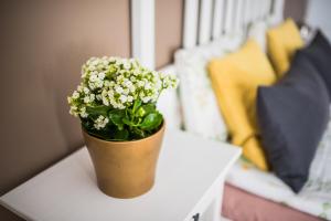 a pot of flowers sitting on a table at Sunshine Apartment in Liepāja