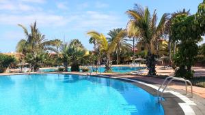 Bazén v ubytování Apartment Gardenia, Oasis Tamarindo nebo v jeho okolí