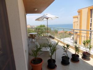 a balcony with plants and a table and an umbrella at Zenith Guest House in Sozopol