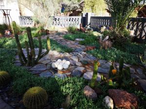 a garden with cacti and a stone path at Terra Rouge Guestfarm in Koës